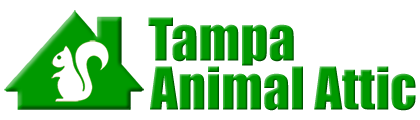 Tampa Animal Attic